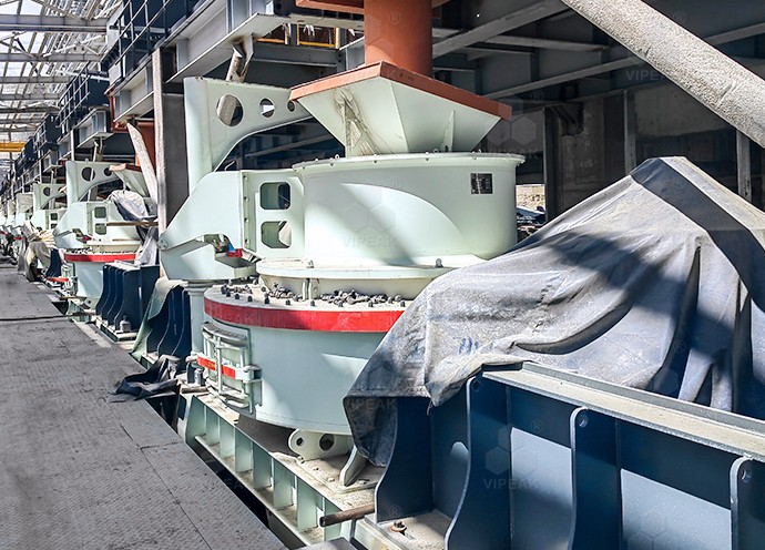 Xinjiang 100 t/h Lithium Ore Processing Project
