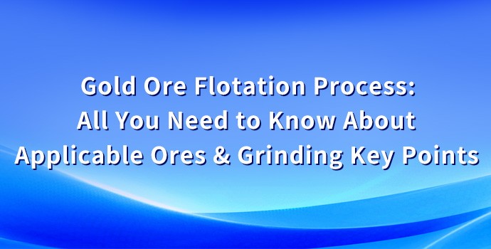 Gold Ore Flotation Process: All You Need to ···